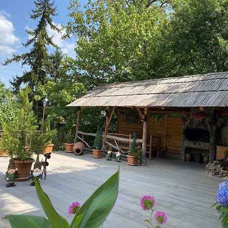 Anano'S Guesthouse Borzsomi Kültér fotó