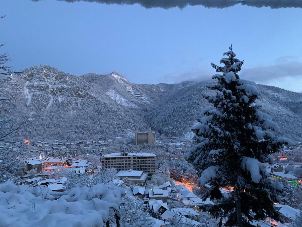 Anano'S Guesthouse Borzsomi Kültér fotó
