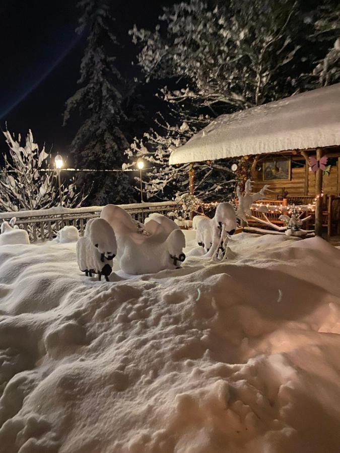 Anano'S Guesthouse Borzsomi Kültér fotó