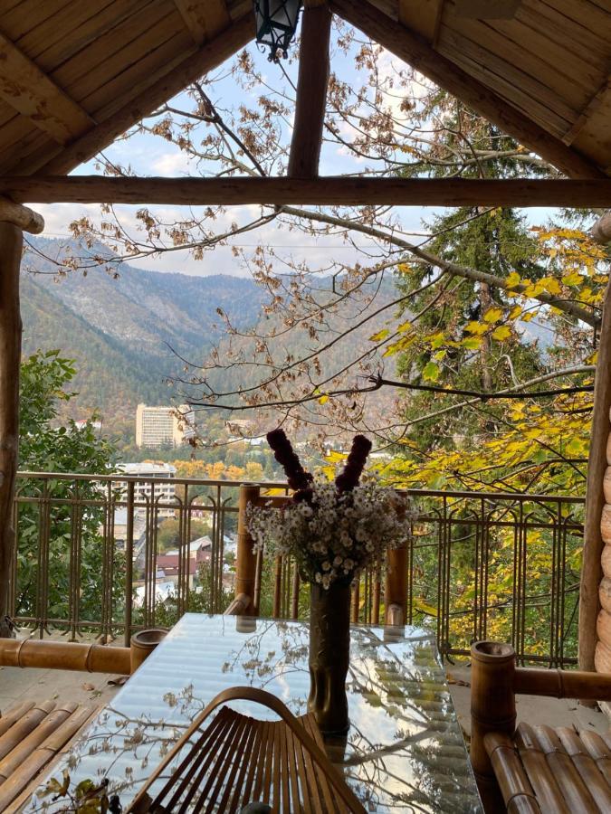 Anano'S Guesthouse Borzsomi Kültér fotó