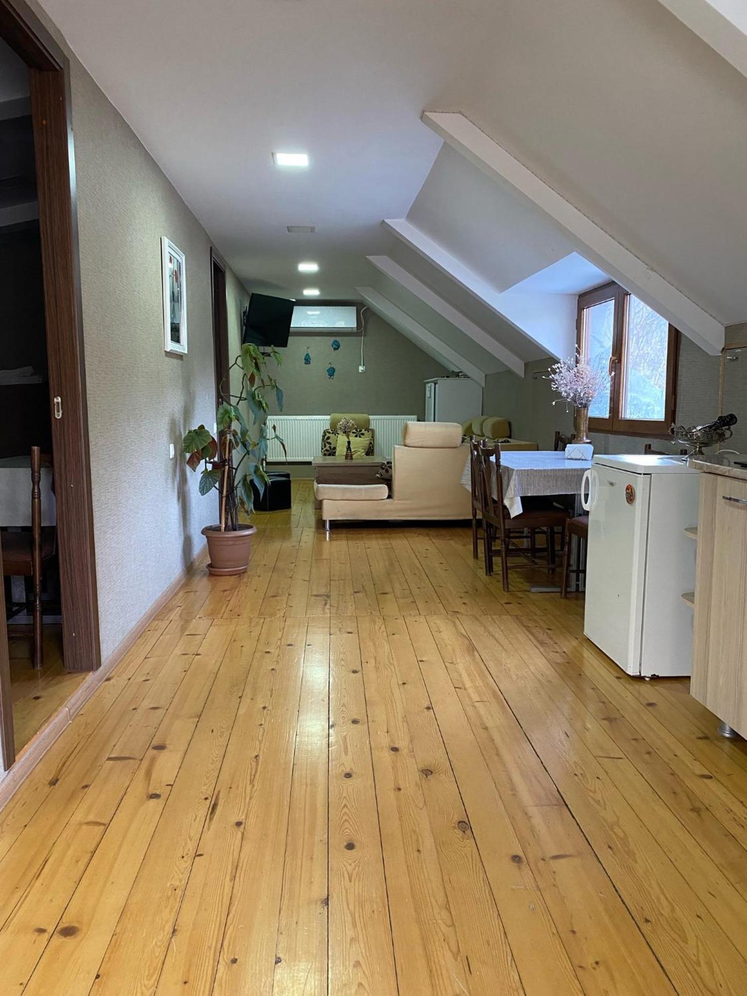 Anano'S Guesthouse Borzsomi Kültér fotó