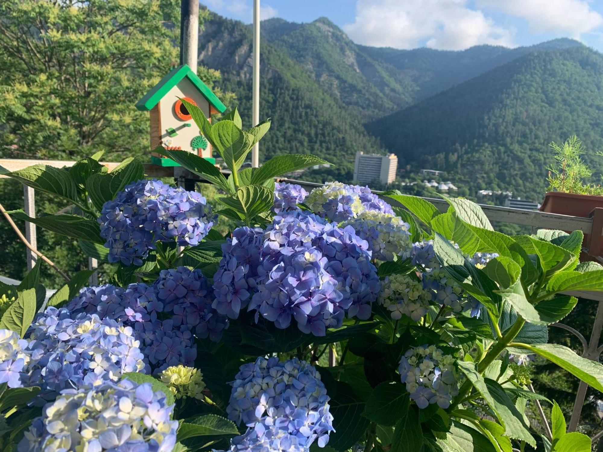 Anano'S Guesthouse Borzsomi Kültér fotó
