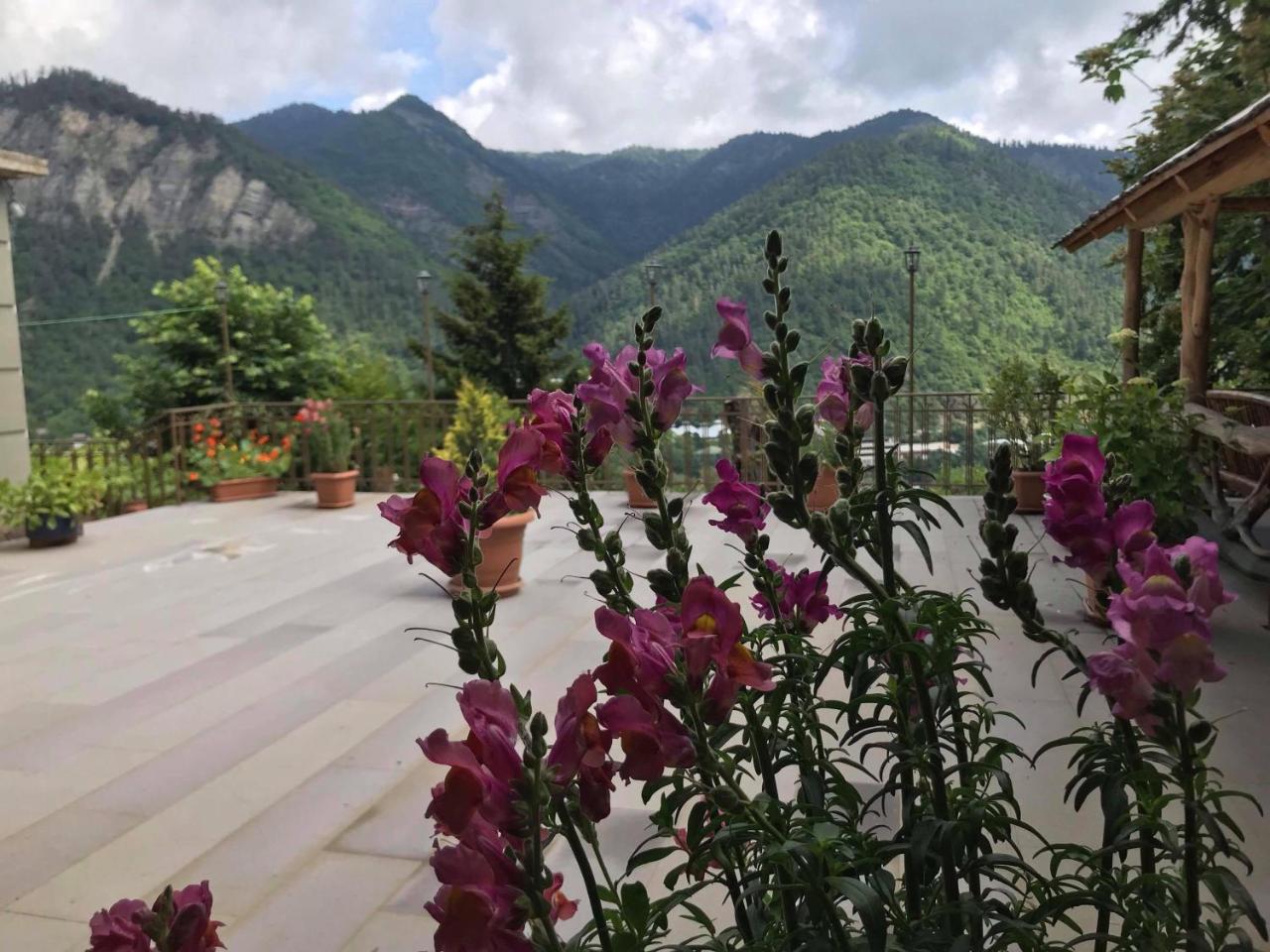 Anano'S Guesthouse Borzsomi Kültér fotó