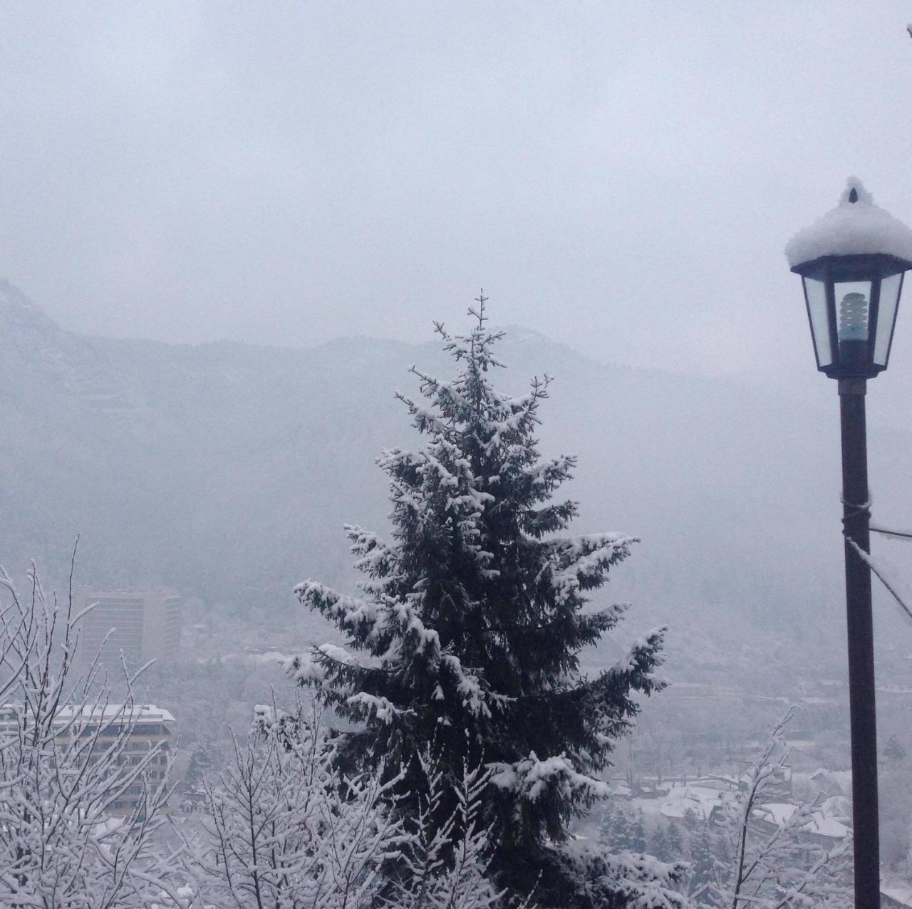 Anano'S Guesthouse Borzsomi Kültér fotó