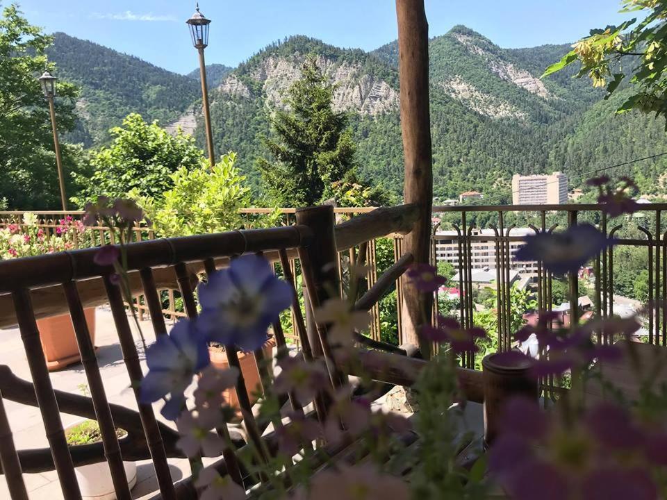 Anano'S Guesthouse Borzsomi Kültér fotó