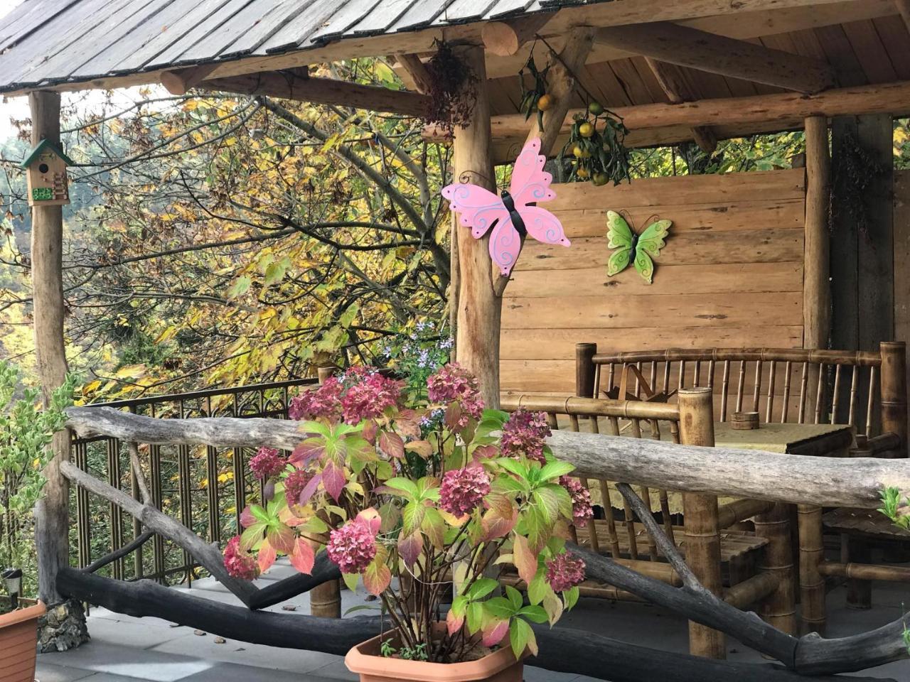 Anano'S Guesthouse Borzsomi Kültér fotó